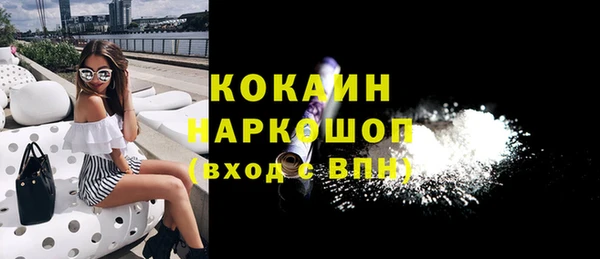 бошки Кемь