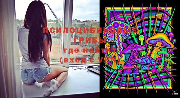 бошки Кемь