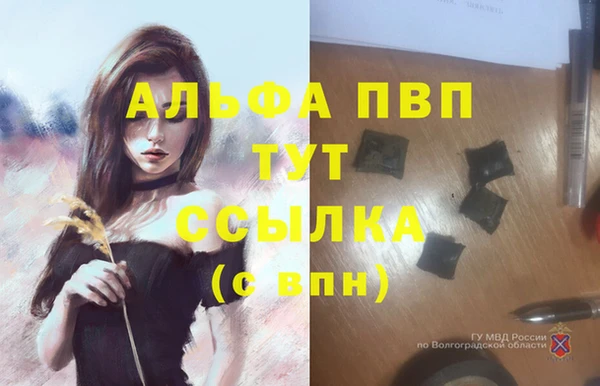 ПСИЛОЦИБИНОВЫЕ ГРИБЫ Кизел