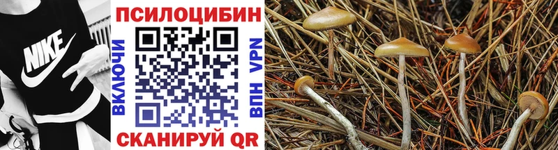 Галлюциногенные грибы Psilocybine cubensis  Купить где  Ишим